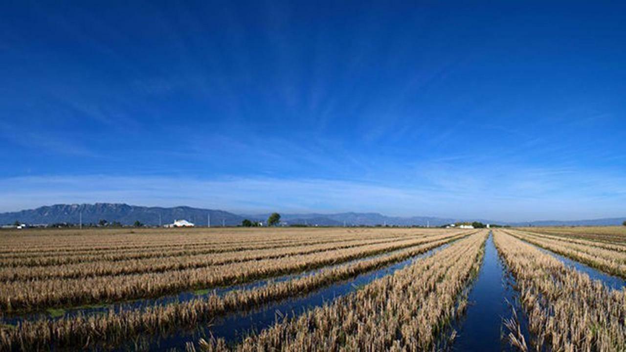 Mi Apartamento En El Delta Del Ebro+ Deltebre Exteriér fotografie