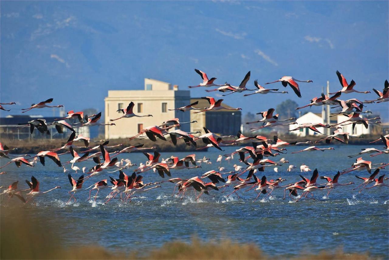 Mi Apartamento En El Delta Del Ebro+ Deltebre Exteriér fotografie