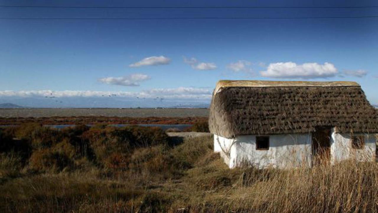 Mi Apartamento En El Delta Del Ebro+ Deltebre Exteriér fotografie