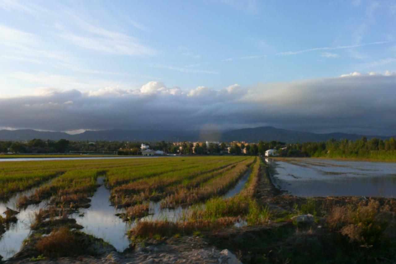 Mi Apartamento En El Delta Del Ebro+ Deltebre Exteriér fotografie